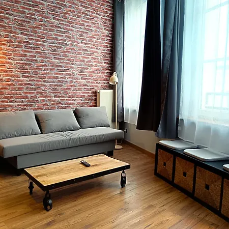 Chaleureux Et Spacieux Centre Avec Parking Apartment