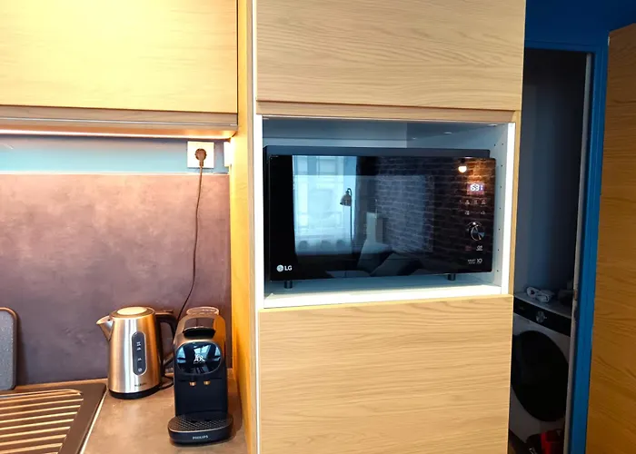 Chaleureux Et Spacieux Centre Avec Parking *