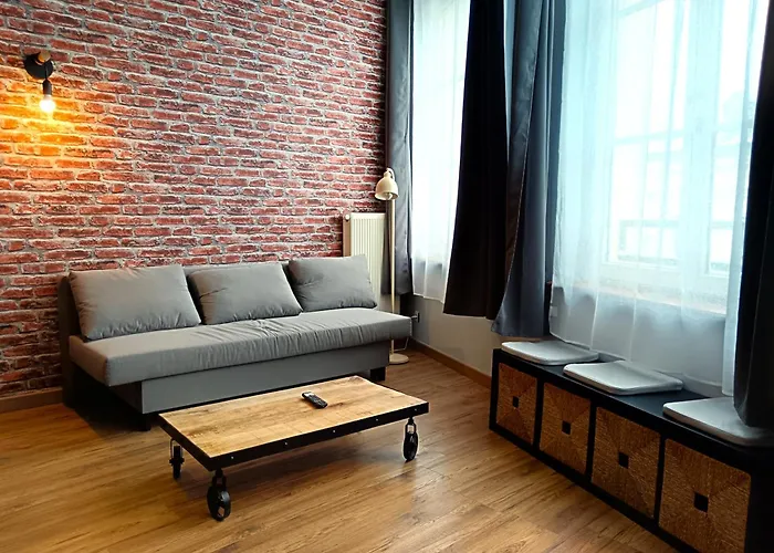 Chaleureux Et Spacieux Centre Avec Parking Appartamento