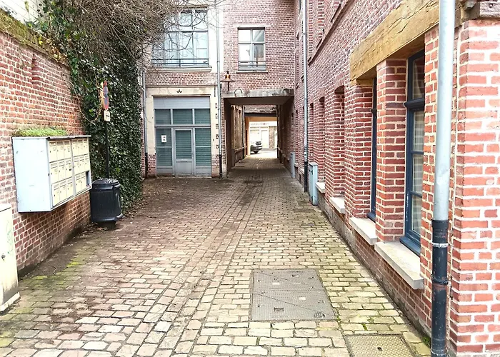 Chaleureux Et Spacieux Centre Avec Parking Appartamento