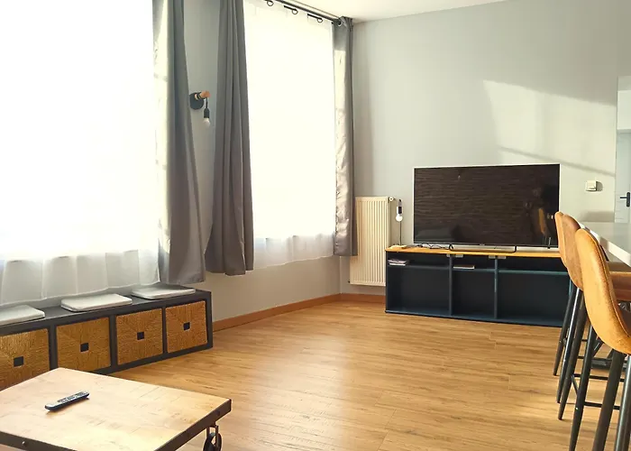 Appartamento Chaleureux Et Spacieux Centre Avec Parking